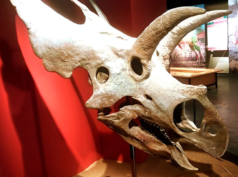 Plantenetende dinosaurussen met een snavel