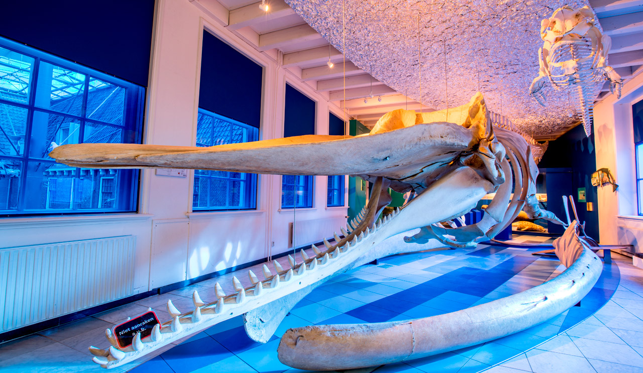 Natuurmuseum Fryslân