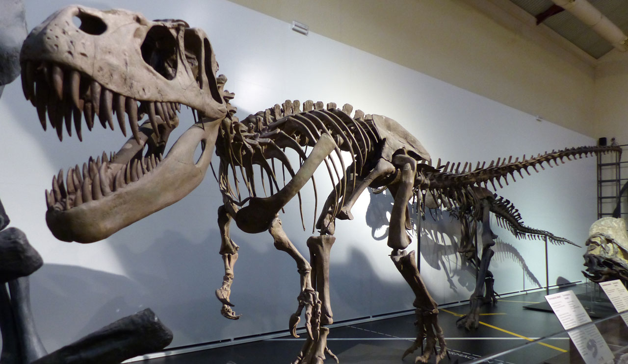 De 10 beste dinosaurusmusea ter wereld