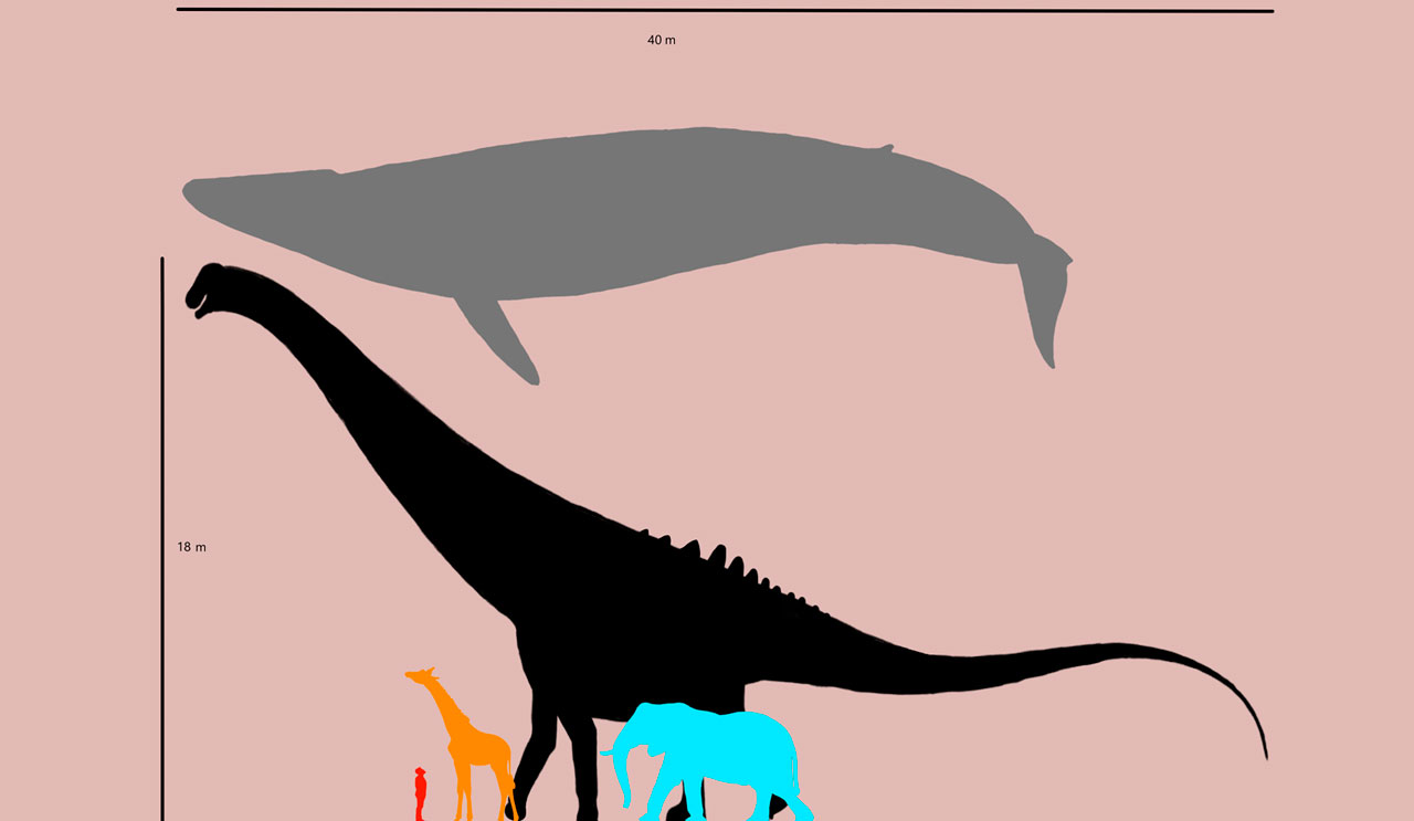 Wat was de grootste dinosaurus ter wereld?