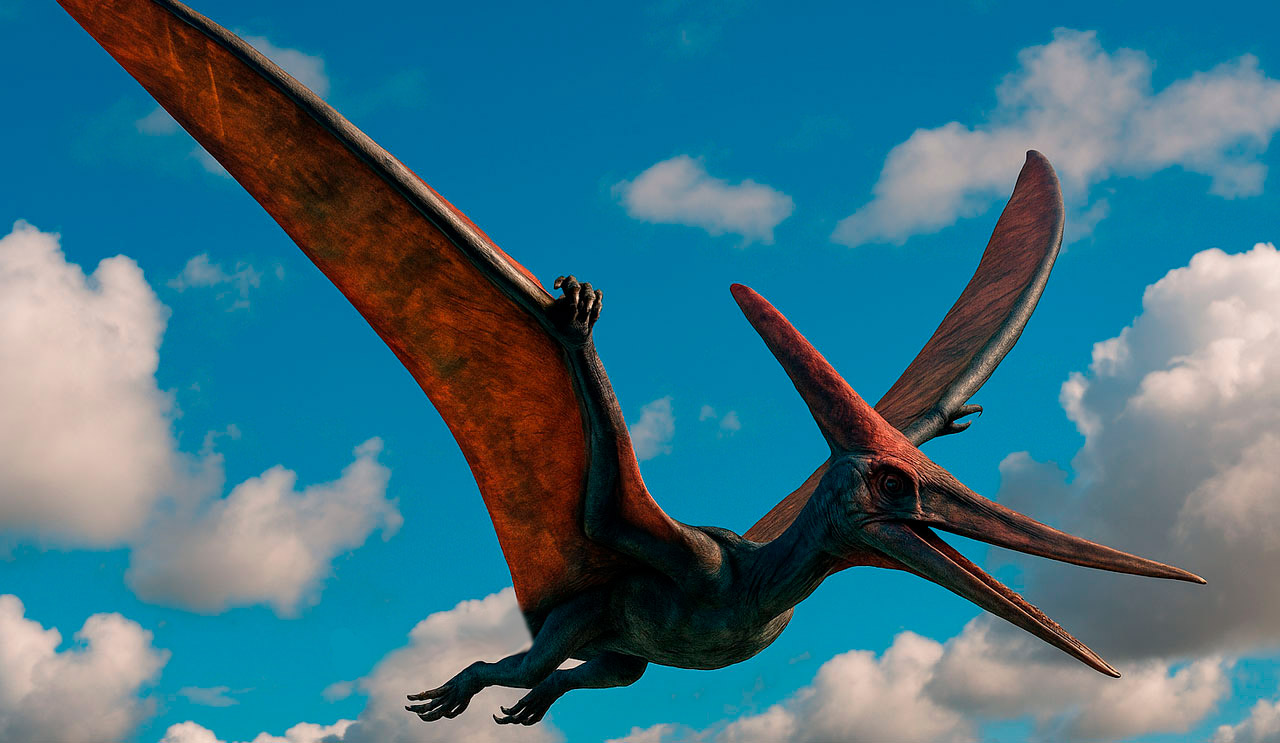 Pteranodon